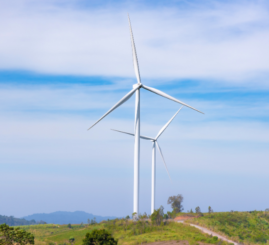 Wind Power Industry